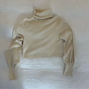 Aritzia Wilfred cropped turtleneck sweater